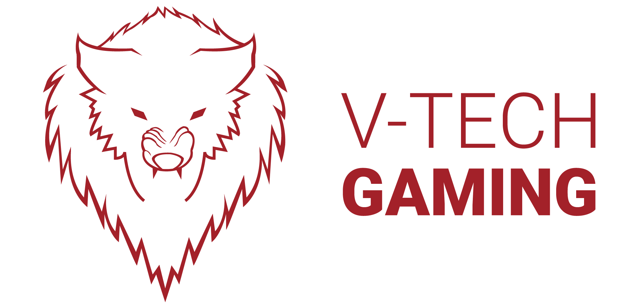 V-Tech Gaming